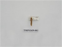 藏品(黃達頂苔蛾)的圖片